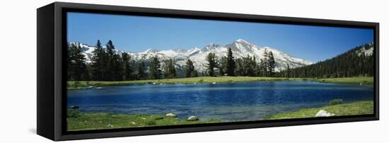 Sierra Nevada Mountains Yosemite National Park Ca-null-Framed Stretched Canvas