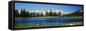 Sierra Nevada Mountains Yosemite National Park Ca-null-Framed Stretched Canvas