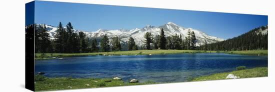 Sierra Nevada Mountains Yosemite National Park Ca-null-Stretched Canvas