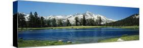 Sierra Nevada Mountains Yosemite National Park Ca-null-Stretched Canvas