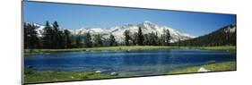 Sierra Nevada Mountains Yosemite National Park Ca-null-Mounted Photographic Print