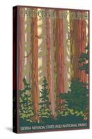 Sierra Nevada State and National Parks, California - Forest Scene-Lantern Press-Stretched Canvas