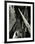 Sierra Pond, California, 1955-Brett Weston-Framed Photographic Print