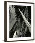 Sierra Pond, California, 1955-Brett Weston-Framed Photographic Print