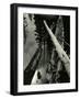 Sierra Pond, California, 1955-Brett Weston-Framed Photographic Print