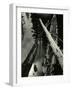 Sierra Pond, California, 1955-Brett Weston-Framed Photographic Print