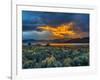 Sierra Scene-Steven Maxx-Framed Photographic Print