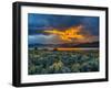 Sierra Scene-Steven Maxx-Framed Photographic Print