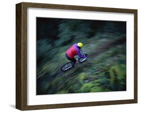 Sierras, California, USA-null-Framed Photographic Print