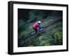 Sierras, California, USA-null-Framed Photographic Print