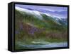 Sierras-Sheila Finch-Framed Stretched Canvas