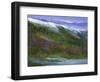 Sierras-Sheila Finch-Framed Art Print