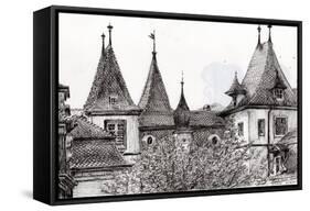 Sierre Rooftops, Switzerland, 2012-Vincent Alexander Booth-Framed Stretched Canvas