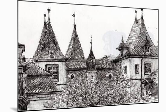 Sierre Rooftops, Switzerland, 2012-Vincent Alexander Booth-Mounted Giclee Print