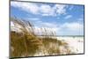 Siesta Key Beach Sarasota Florida-arenacreative-Mounted Photographic Print