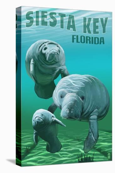 Siesta Key, Florida - Manatees-Lantern Press-Stretched Canvas