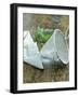 Sieve and Sugar-null-Framed Photographic Print