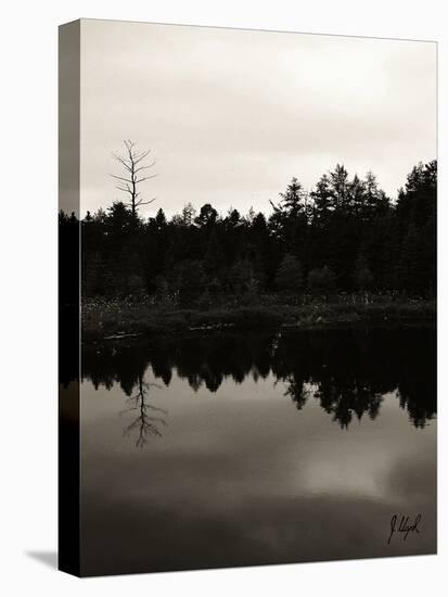 Sifton Bog-Justin Lloyd-Stretched Canvas