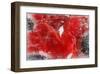 Sifton Red-null-Framed Art Print