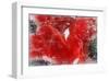 Sifton Red-null-Framed Art Print