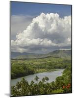 Sigatoka River, Lower Sigatoka Valley, Coral Coast, Viti Levu, Fiji, South Pacific-David Wall-Mounted Photographic Print