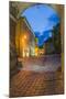 Sighisoara at Night in the Historic Centre of the 12th Century Saxon Town, Sighisoara-Matthew Williams-Ellis-Mounted Photographic Print