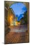 Sighisoara at Night in the Historic Centre of the 12th Century Saxon Town, Sighisoara-Matthew Williams-Ellis-Mounted Photographic Print