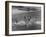 Sights of a Typical Summer at Cape Cod: Swimming in Nantucket Sound-Alfred Eisenstaedt-Framed Photographic Print