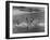 Sights of a Typical Summer at Cape Cod: Swimming in Nantucket Sound-Alfred Eisenstaedt-Framed Photographic Print