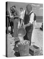 Sights of a Typical Summer at Cape Cod: Watering Clams to Aid the Steaming for Clambake-null-Stretched Canvas