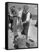 Sights of a Typical Summer at Cape Cod: Watering Clams to Aid the Steaming for Clambake-null-Framed Stretched Canvas