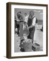 Sights of a Typical Summer at Cape Cod: Watering Clams to Aid the Steaming for Clambake-null-Framed Photographic Print