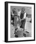 Sights of a Typical Summer at Cape Cod: Watering Clams to Aid the Steaming for Clambake-null-Framed Photographic Print