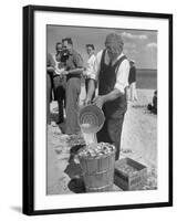 Sights of a Typical Summer at Cape Cod: Watering Clams to Aid the Steaming for Clambake-null-Framed Photographic Print