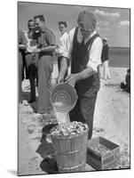 Sights of a Typical Summer at Cape Cod: Watering Clams to Aid the Steaming for Clambake-null-Mounted Photographic Print