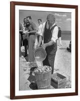 Sights of a Typical Summer at Cape Cod: Watering Clams to Aid the Steaming for Clambake-null-Framed Photographic Print