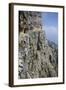 Sightseeing on the Strada Delle 52 Gallerie, Veneto, Italy, Europe-Olivier Goujon-Framed Photographic Print