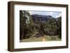 Sigiriya Gardens below Rock Fortress, Sri Lanka. 20th century-CM Dixon-Framed Photographic Print