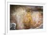 Sigiriya (Lion Rock) Frescoes or Ancient Wall Paintings-Charlie-Framed Photographic Print