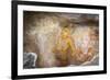 Sigiriya (Lion Rock) Frescoes or Ancient Wall Paintings-Charlie-Framed Photographic Print