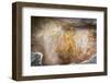 Sigiriya (Lion Rock) Frescoes or Ancient Wall Paintings-Charlie-Framed Photographic Print