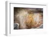 Sigiriya (Lion Rock) Frescoes or Ancient Wall Paintings-Charlie-Framed Photographic Print