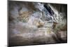 Sigiriya (Lion Rock) Frescoes or Ancient Wall Paintings-Charlie-Mounted Photographic Print