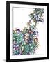 Sigma1 Protein Molecule, Artwork-PASIEKA-Framed Photographic Print