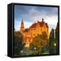 Sigmaringen Castle Illuminated at Sunrise, Swabia, Baden Wurttemberg, Germany, Europe-Doug Pearson-Framed Stretched Canvas