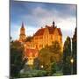 Sigmaringen Castle Illuminated at Sunrise, Swabia, Baden Wurttemberg, Germany, Europe-Doug Pearson-Mounted Photographic Print