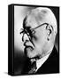 Sigmund Freud, 1936-null-Framed Stretched Canvas
