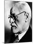 Sigmund Freud, 1936-null-Mounted Photo