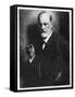 Sigmund Freud, Austrian Psychologist-null-Framed Stretched Canvas