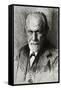 Sigmund Freud, Austrian Psychologist-null-Framed Stretched Canvas